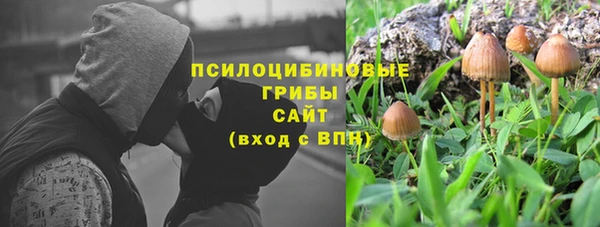 тгк Алексин