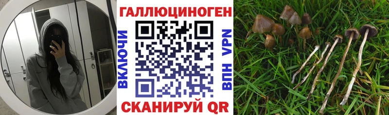 купить наркотики цена  Красавино  Галлюциногенные грибы MAGIC MUSHROOMS 