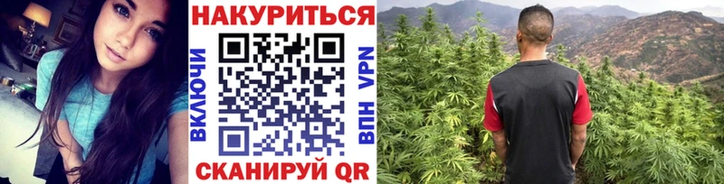 Бошки марихуана SATIVA & INDICA  как найти закладки  Красавино 